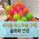 프로검도관 | 서울 강서 염창동 특 A급 로스트볼 구매, 클럽 그립 교체 매장 "골프와 건강" 내돈내산 솔직후기