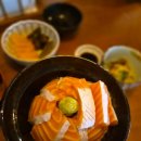 연남아파트 | 마포/연남동 맛집 일식 종로돈부리 연남 연어뱃살 덮밥 후기