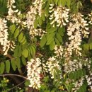 점봉농장 이미지