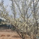 보담애월 이미지