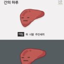 사랑의고기