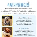 포레멍 네이버블로그