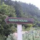 현포그린하우스 | [울릉도 숙소 추천🦑] 현포 '그린 하우스 Green House' 후기