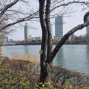 오리 어린이공원 이미지