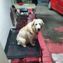 고래박물관 매표소 화장실 이미지