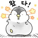 컴포즈커피판교 이미지