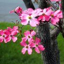 (주)호연지기 이미지