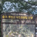 계명산 치유의 숲 이미지