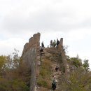 금배농장 이미지