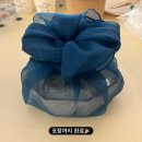 한영체육관 | 치치의 1-2월 l ② 별로 안 돌아다녔어