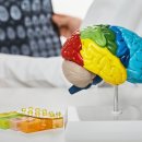 반야월로 이미지