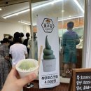 네오포커스주 이미지