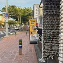 올레막국수 | 제주공항 근처 자가제면 제주올레면옥 들기름 막국수 먹고 온 후기