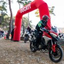 into the f 이미지