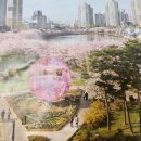 (주)런웨이인터네셔널 | 호수 벚꽃 축제 in 석촌호수 2026.4.3(금)~11(토) 9일간