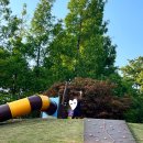 가막들공원 | [의왕 청계동] 가막들공원 놀이터 이용 후기 아이와놀기좋은곳