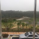 안동백조마을 이미지