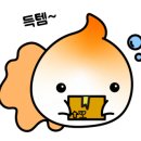 삼천리망미 이미지