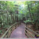 원앙캠핑장 이미지