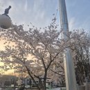 한국체육대학교(도서관앞) 네이버블로그