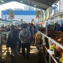 선산대로12-10 이미지
