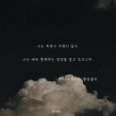 아일랜드호 이미지