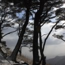 성주리 이미지