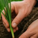 장파농장 이미지