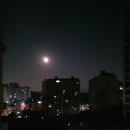 토실 토실 이미지