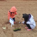 버들농장 이미지