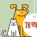 부부정약국 이미지