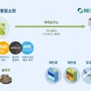 부강시스템