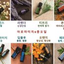 아로마테라스