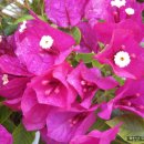 두꺼비농장 이미지