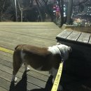 덕배쌀롱