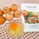 등고개2 | 유정란 뜻 난각번호1번 계란 등고개농장 맛있는 비빔밥 계란후라이