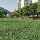 남천둔치2 이미지