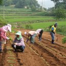 덕정4리 이미지