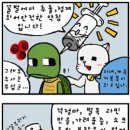 포메디