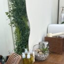 밀스칼프 이미지