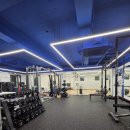 레조나헬스랩 이미지