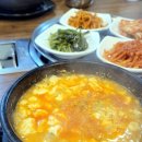 하계생오리 이미지