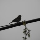 흰날개민박 이미지