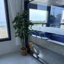 더블루101풀빌라펜션 이미지