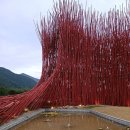 와이카페 이미지