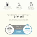 클린 존