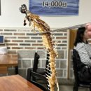 황제해물두부 | 잠실새내찐맛집 전주고을해물순두부 내돈내산 주차 혼밥 가능