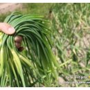 두이농장 이미지