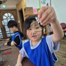 희망태권도 | 신부동 품새 태권도는 그냥 발차기만 배우는 곳일까? 천안에서 품새 전문 지도까지 직접 경험한 후기