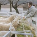 혜인목장 이미지